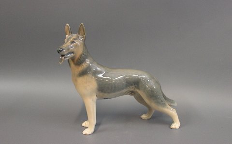 Kongelig porcelænsfigur,Schæfer hund, nr. 3261. 
5000m2 udstilling.