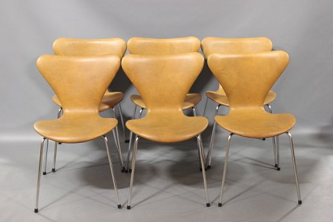 6 stk Arne Jacobsen Model 3107. Nypolstret med  cognac farvet patineret læder i fin stand 5000 m2 udstilling