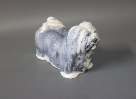 Kgl. figur Llasa Apso hund, nr. 5423.
5000m2 udstilling.
