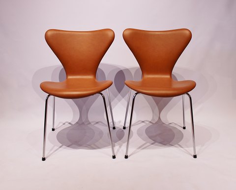 A pair of Seven chairs, model 3107, in cognac colored elegance leather, designed 
by Arne Jacobsen and manufactured by Fritz Hansen.
5000m2 showroom.