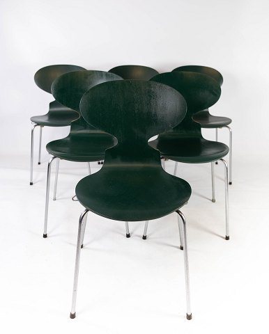 Sæt af fem mørke grønne Myre stole, model 3101, designet af Arne Jacobsen i 1952 og fremstillet af Fritz Hansen. 5000m2 udstilling.