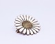 Daisy brooch and pendant of 925 sterling silver and white enamel.
5000m2 showroom.