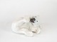 Porcelain figue, polar bear no.: 729 by Royal Copenhagen.
Great condition
